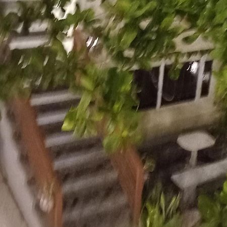 Beachfront Bed & Breakfast Σαν Χοσέ Εξωτερικό φωτογραφία